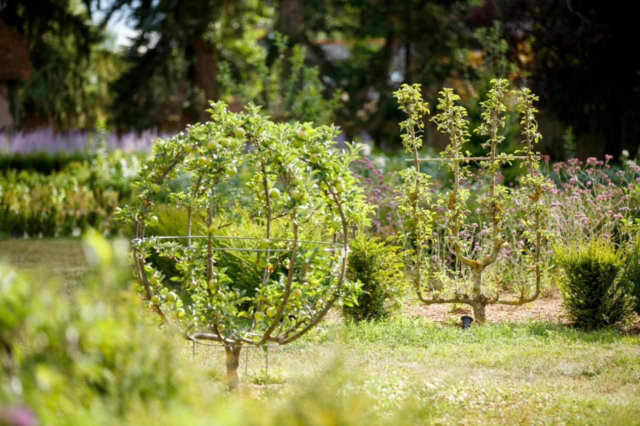 Relais & Chateau Louise De La Valliere Reugny المظهر الخارجي الصورة